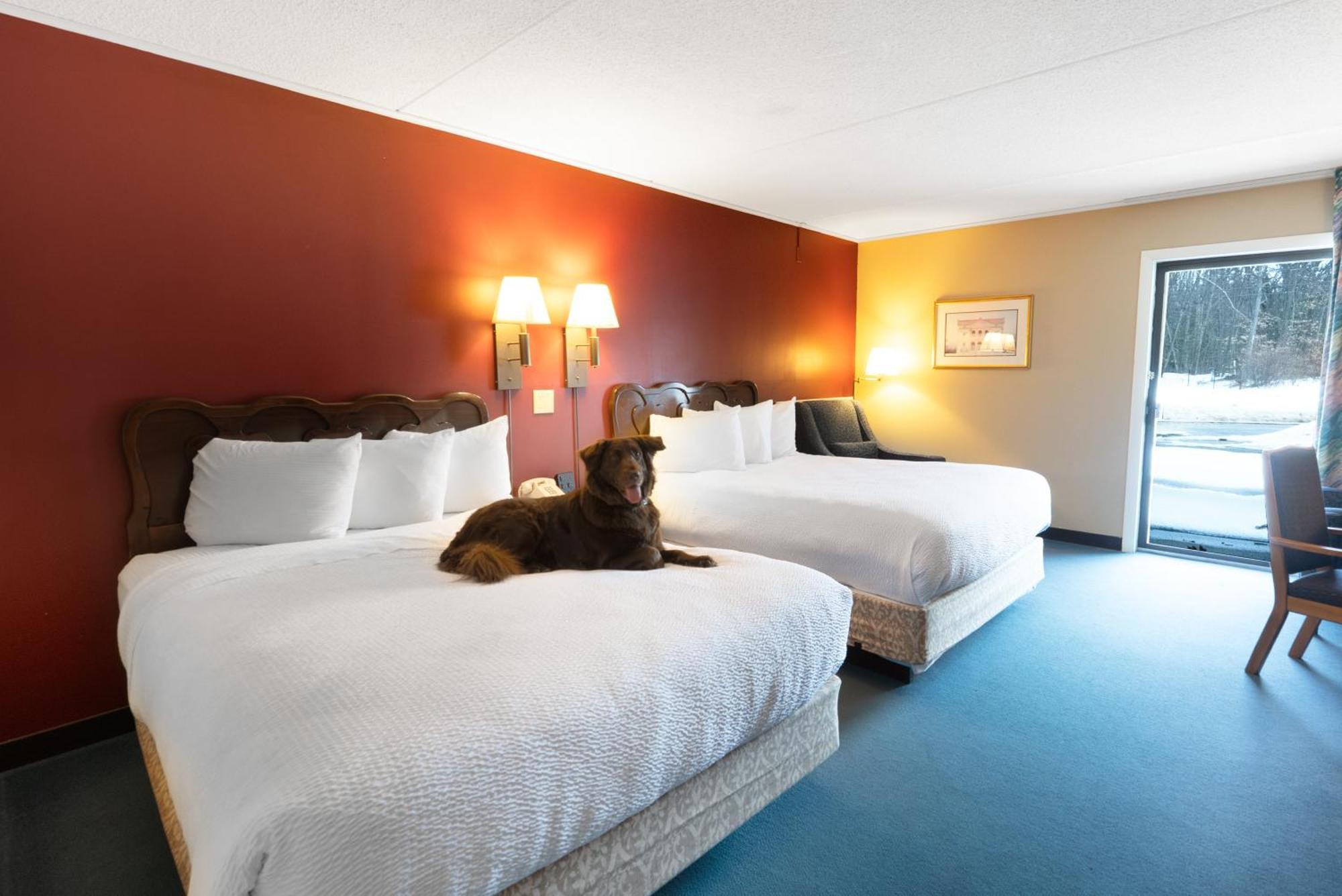 Fireside Inn & Suites Ґілфорд Екстер'єр фото