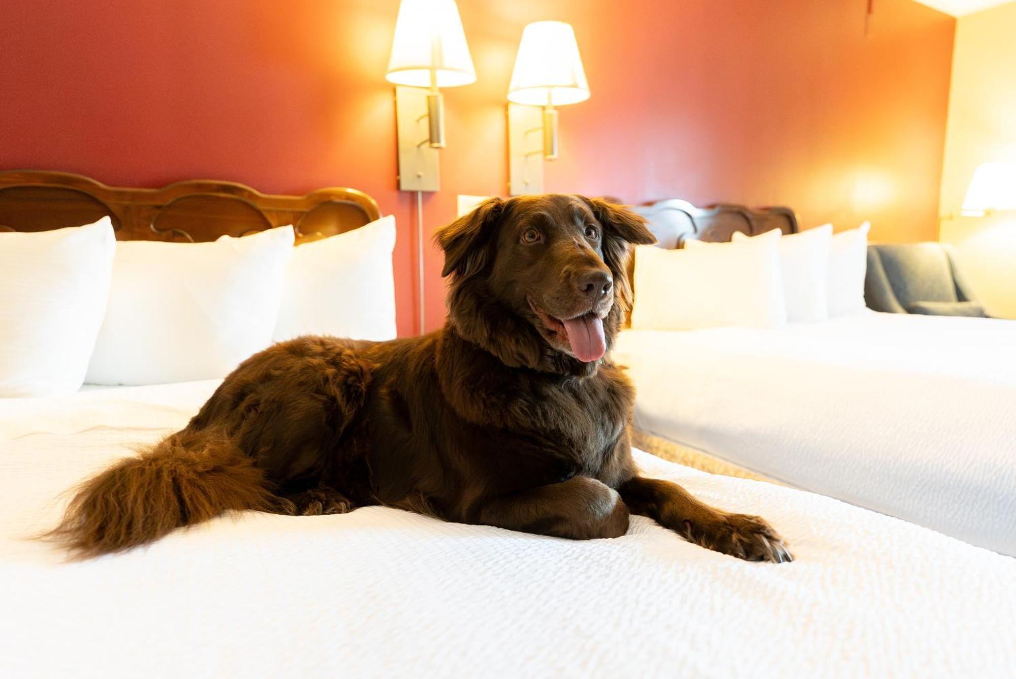 Fireside Inn & Suites Ґілфорд Екстер'єр фото